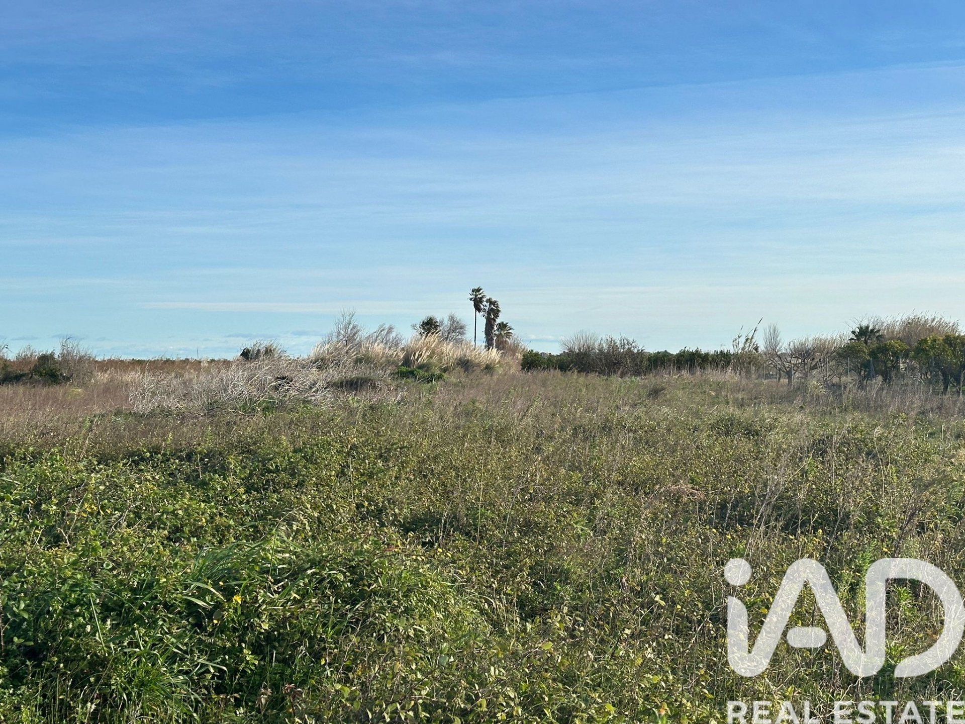Land plot à Pego, Alicante, Espagne 9802 m2 No. 185173