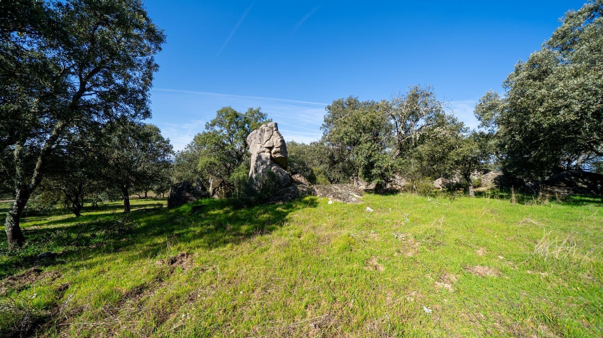House in Colmenarejo, Madrid, Spain 8 bedrooms, 2178 sq.m. No. 177792