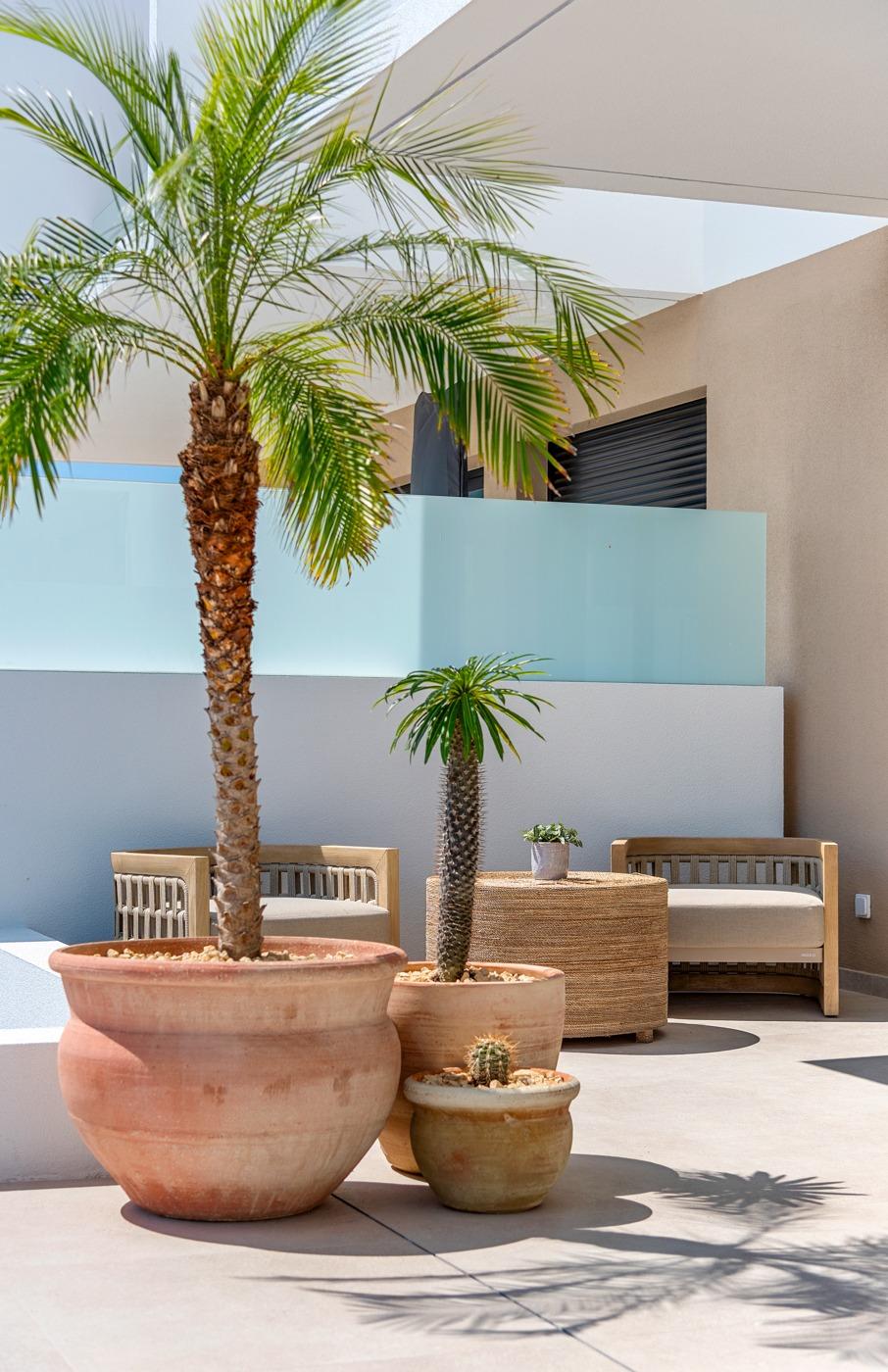 Villa in Dolores, Murcia, Spain 3 bedrooms, 76 sq.m. No. 165678