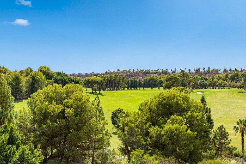 Apartamento en Campoamor, Alicante, España 2 dormitorios, 100 m2 No. 145309