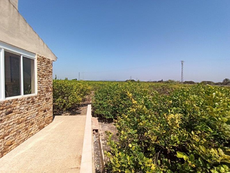 Finca à San Miguel de Salinas, Alicante, Espagne 6 chambres, 300 m2 No. 144782