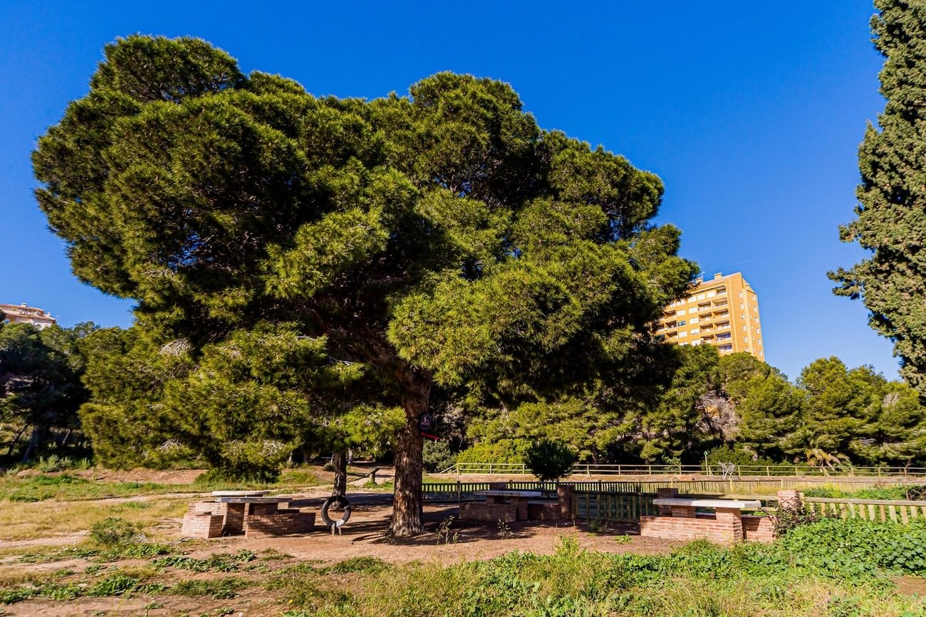 Townhouse in Dehesa De Campoamor, Alicante, Spain 4 bedrooms,  No. 189186