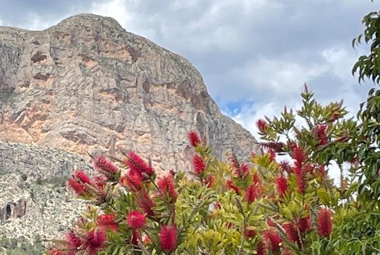 Huvila La Alberca, Alicante, Espanja 3 makuuhuonetta, 150 m2 No. 165872