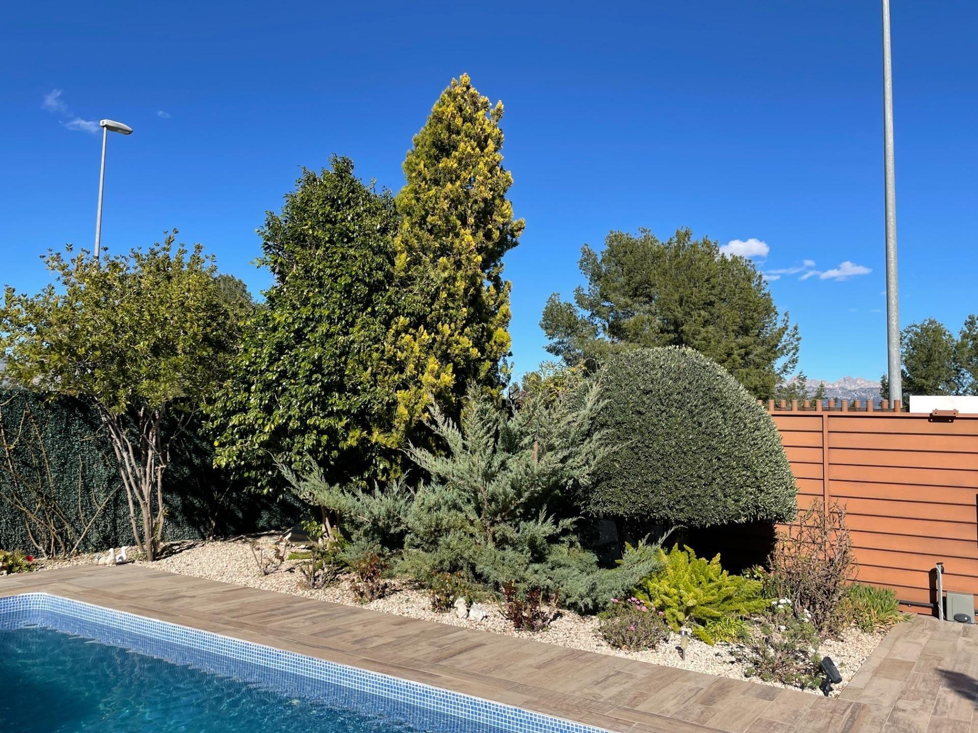 Huvila La Alberca, Alicante, Espanja 3 makuuhuonetta, 150 m2 No. 165872