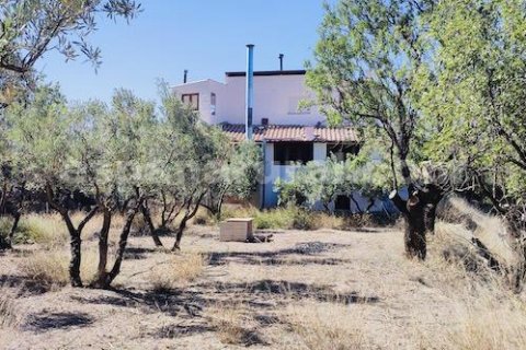Māja Tijola, Almeria, Spānijā 4 istabas, 200 m2 Nr. 184038