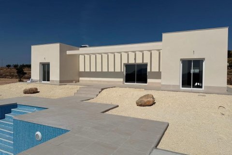 Villa en Pinoso, Alicante, España 3 dormitorios, 120 m2 No. 144548