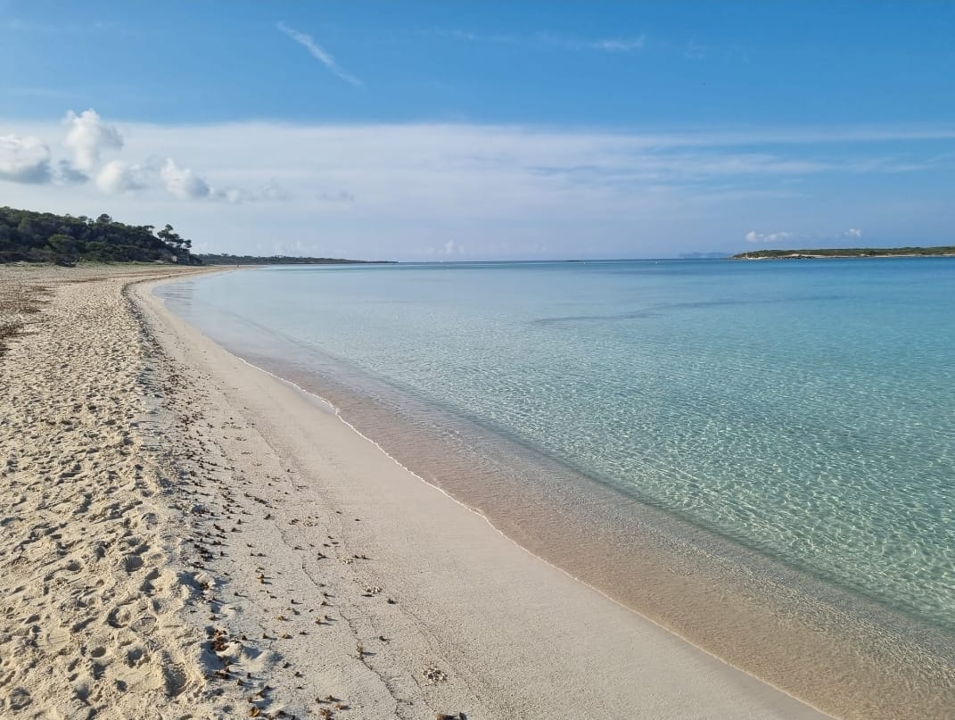 Dzīvoklis Colonia De Sant Jordi, Mallorca, Spānijā 3 istabas, 280 m2 Nr. 137510