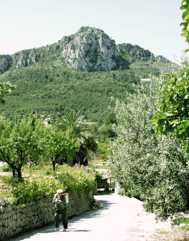 Land in Orba, Alicante, Spanien Nr. 80447