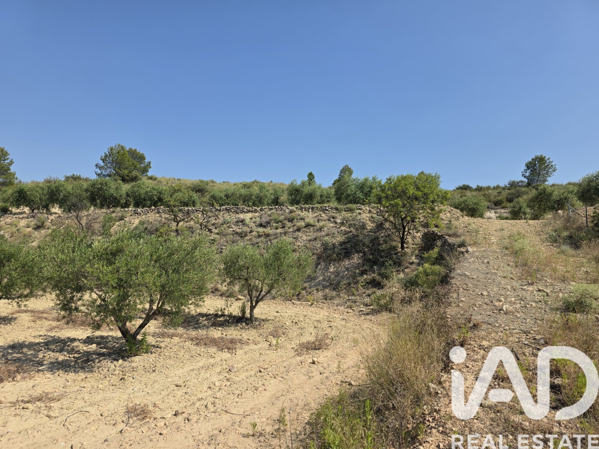 Zemes gabals Cehegin, Murcia, Spānijā 10087 m2 Nr. 188307