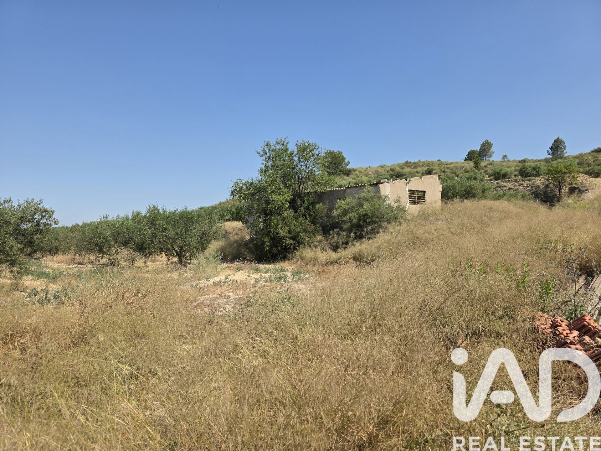 Zemes gabals Cehegin, Murcia, Spānijā 10087 m2 Nr. 188307