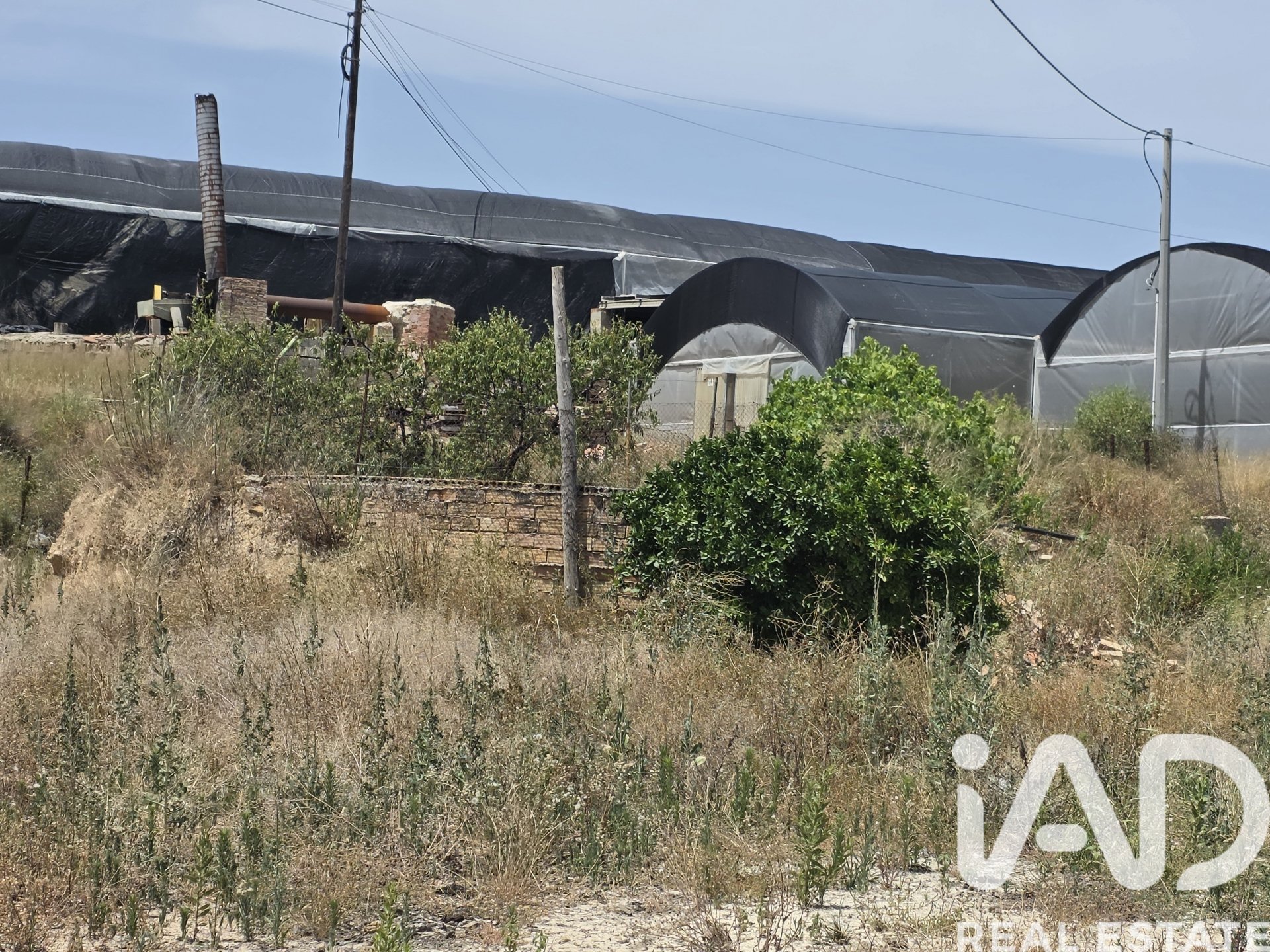Land plot in Cehegin, Murcia, Spain 3244 sq.m. No. 188310