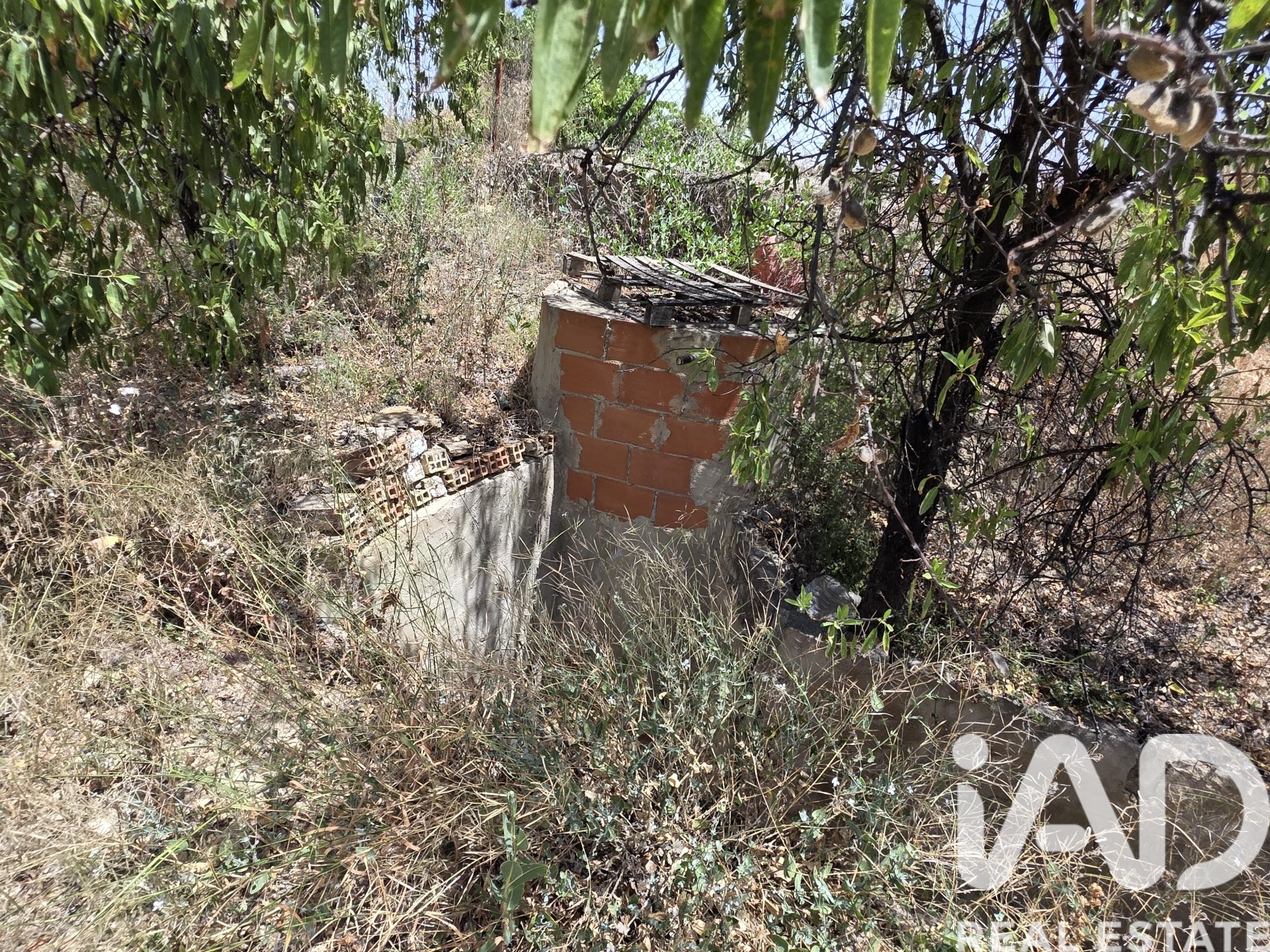 Land plot in Cehegin, Murcia, Spain 3244 sq.m. No. 188310