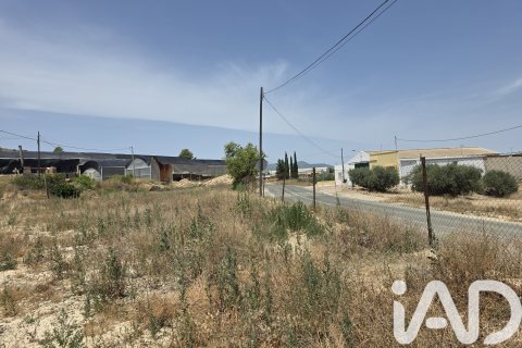 Land plot in Cehegin, Murcia, Spain 3244 sq.m. No. 188310