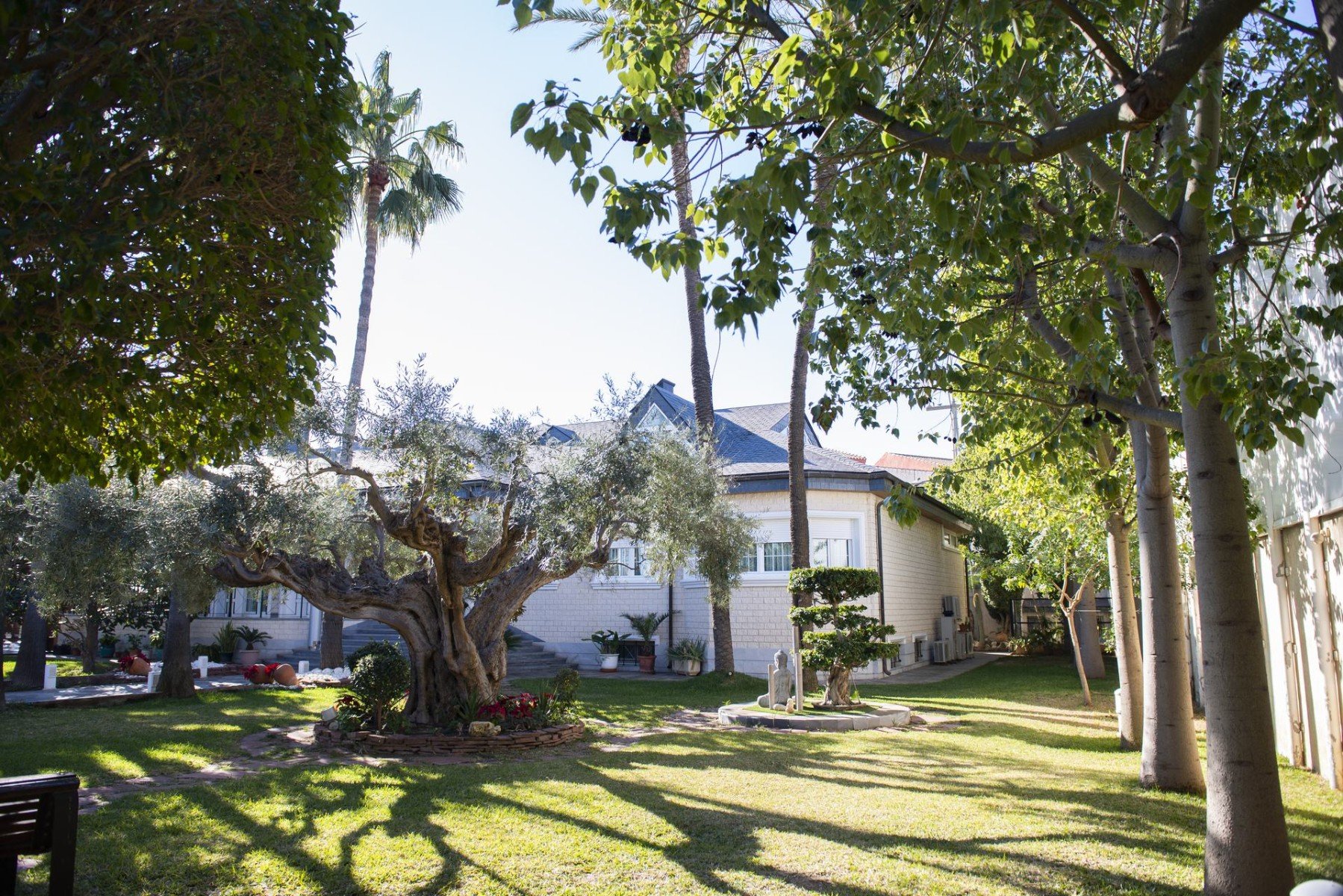 Villa à San Pedro del Pinatar, Murcia, Espagne 5 chambres, 780 m2 No. 99784