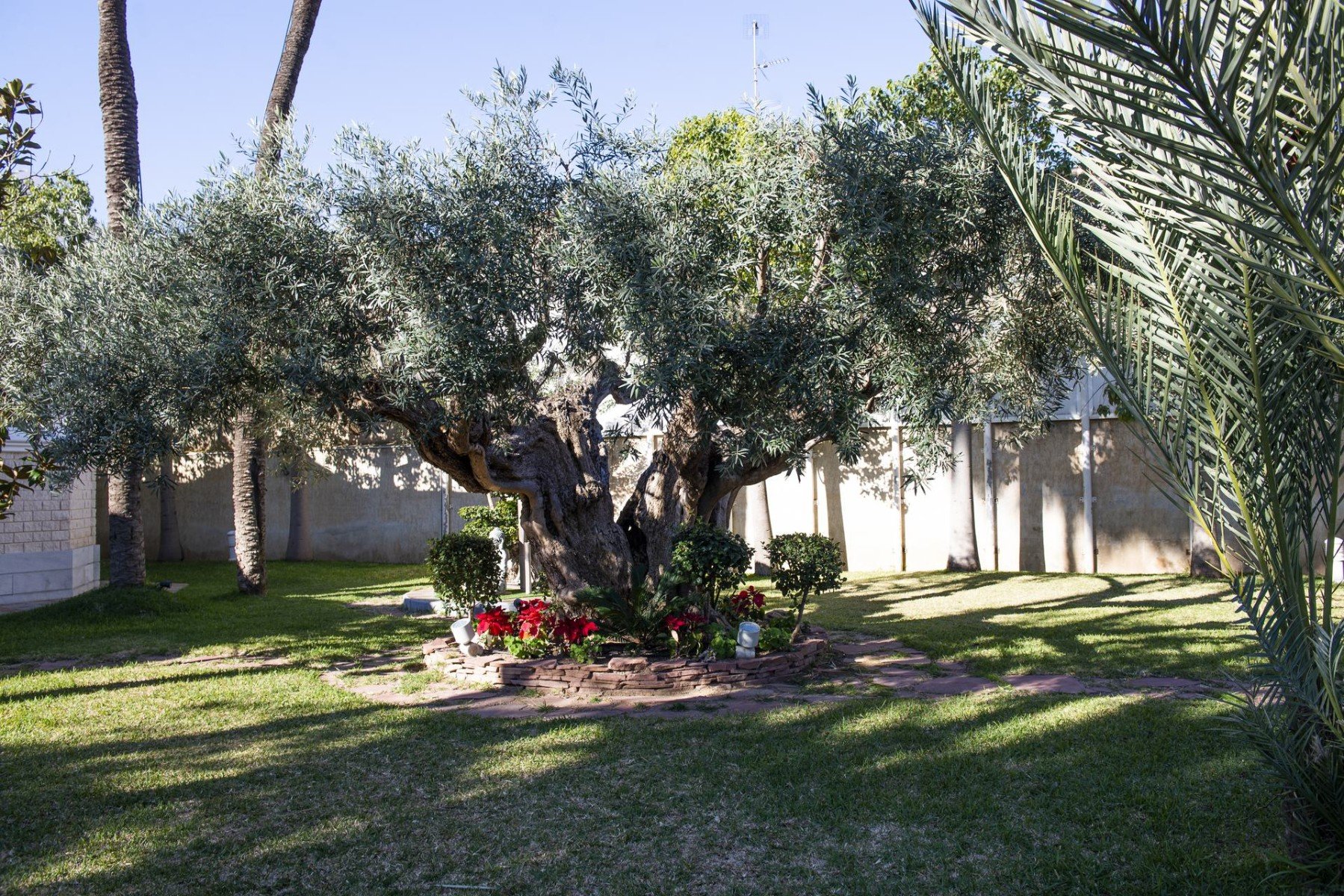 Villa à San Pedro del Pinatar, Murcia, Espagne 5 chambres, 780 m2 No. 99784
