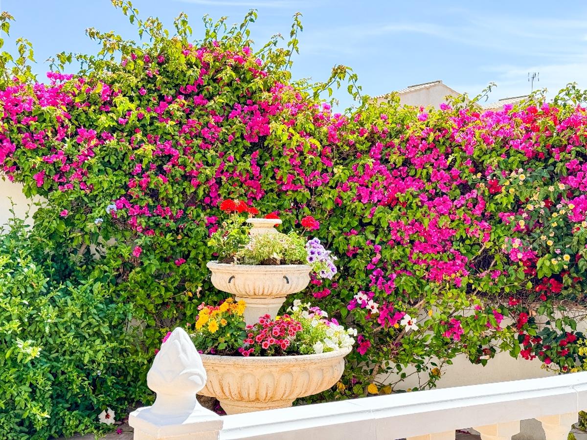 Villa en Punta Prima, Alicante, España 4 dormitorios, 193 m2 No. 99810
