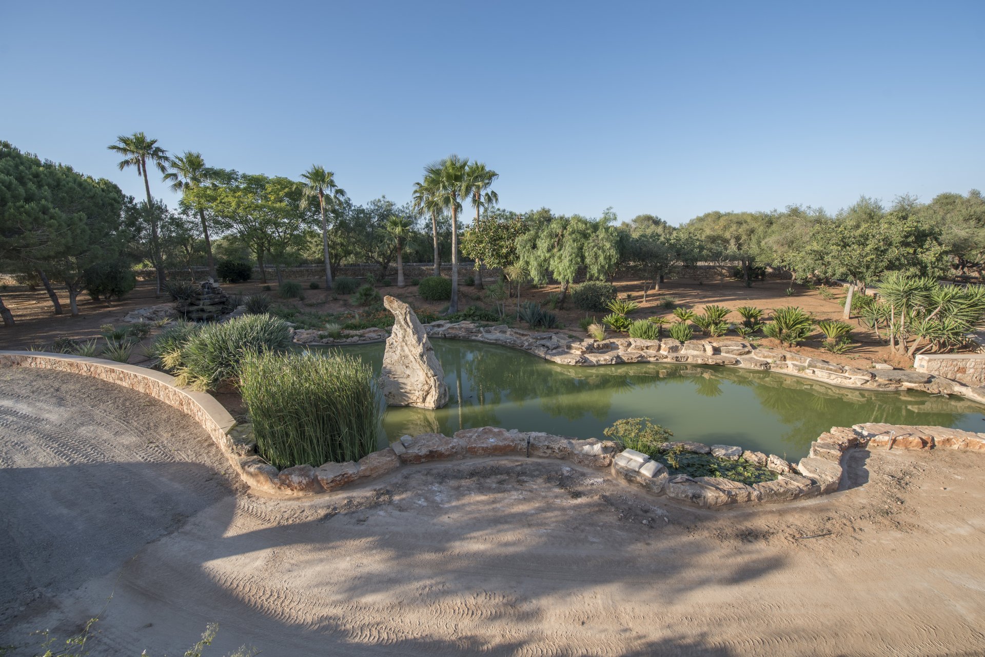 Finca en Campos, Mallorca, España 6 dormitorios, 821 m2 No. 196219