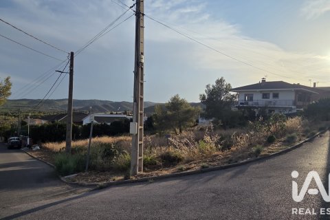 Zemes gabals La Bisbal Del Penedes, Tarragona, Spānijā 544 m2 Nr. 195738