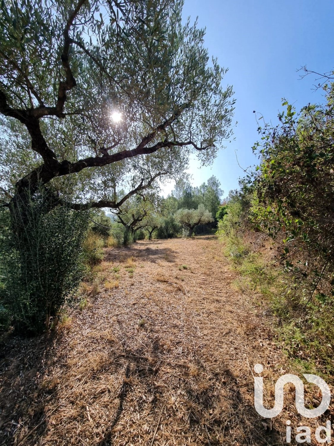 Land plot in Tivissa, Tarragona, Spain 6327 sq.m. No. 185767