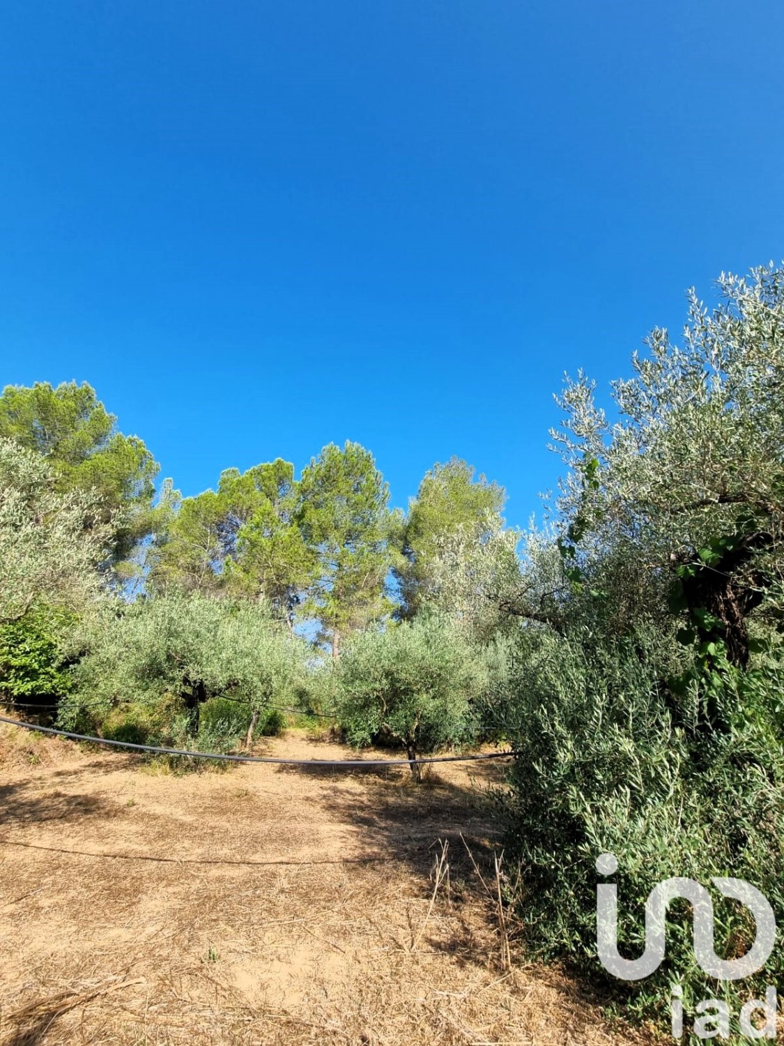 Land plot in Tivissa, Tarragona, Spain 6327 sq.m. No. 185767