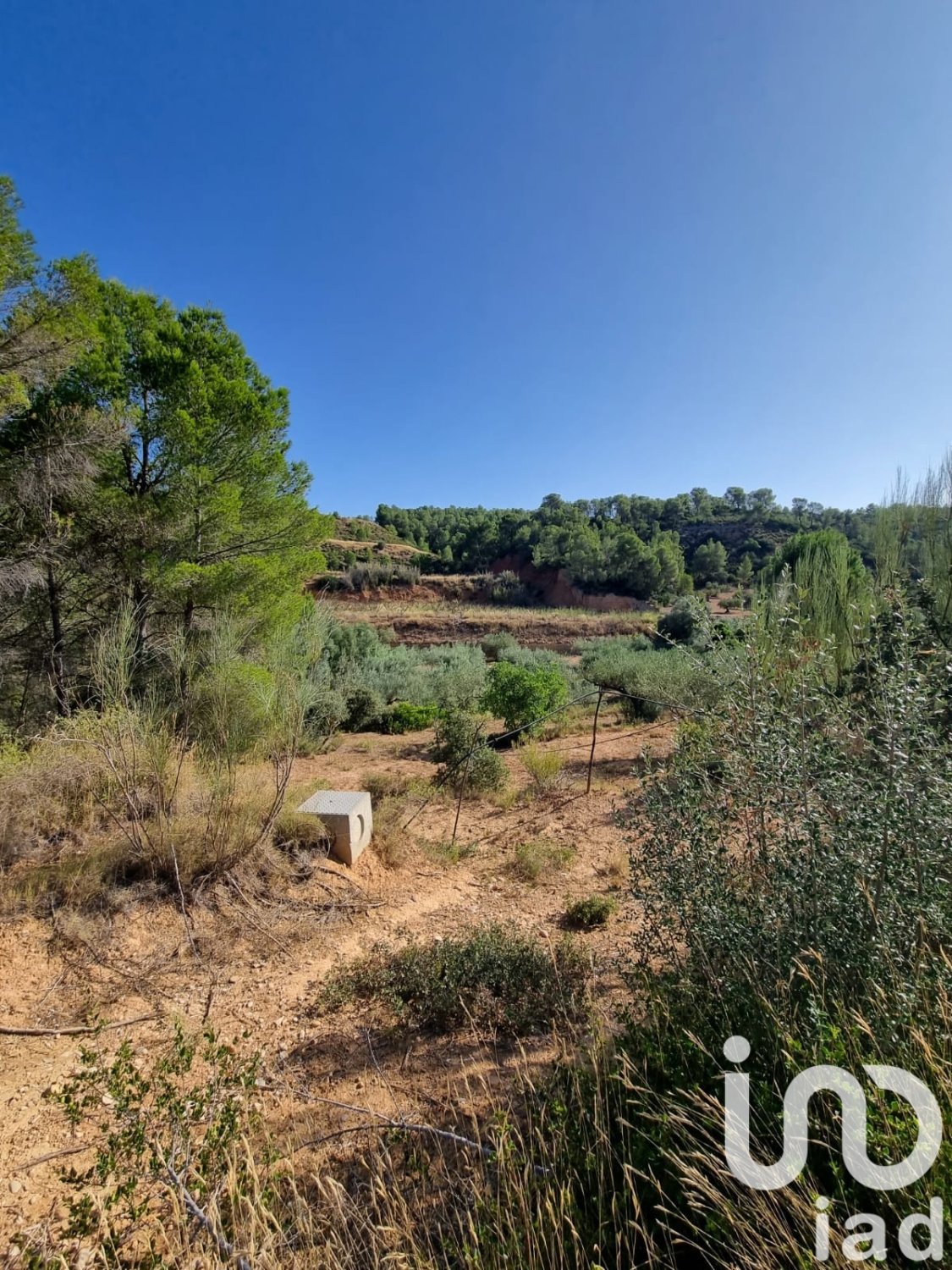 Land plot in Tivissa, Tarragona, Spain 6327 sq.m. No. 185767