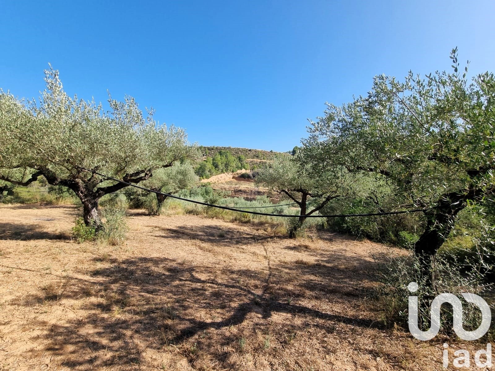 Land plot in Tivissa, Tarragona, Spain 6327 sq.m. No. 185767