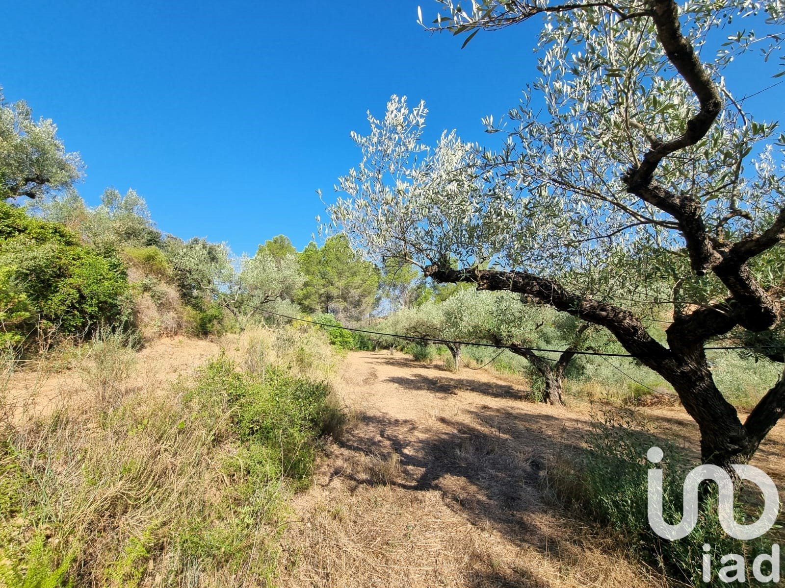 Land plot in Tivissa, Tarragona, Spain 6327 sq.m. No. 185767