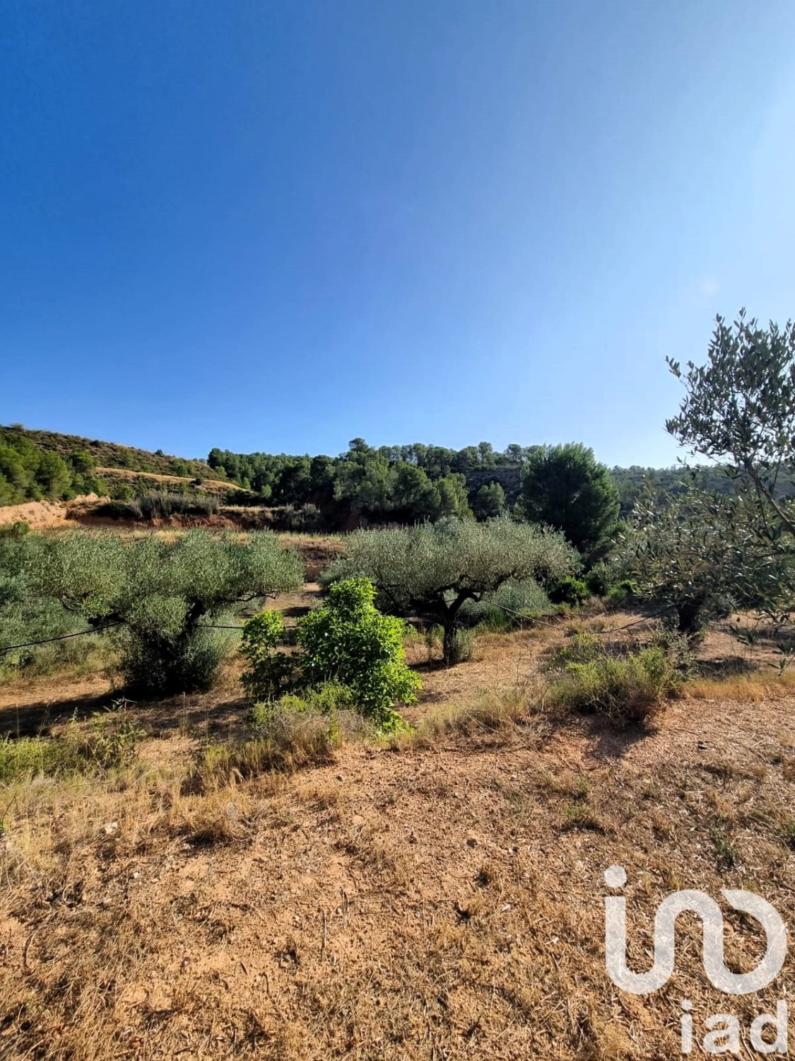 Land plot in Tivissa, Tarragona, Spain 6327 sq.m. No. 185767
