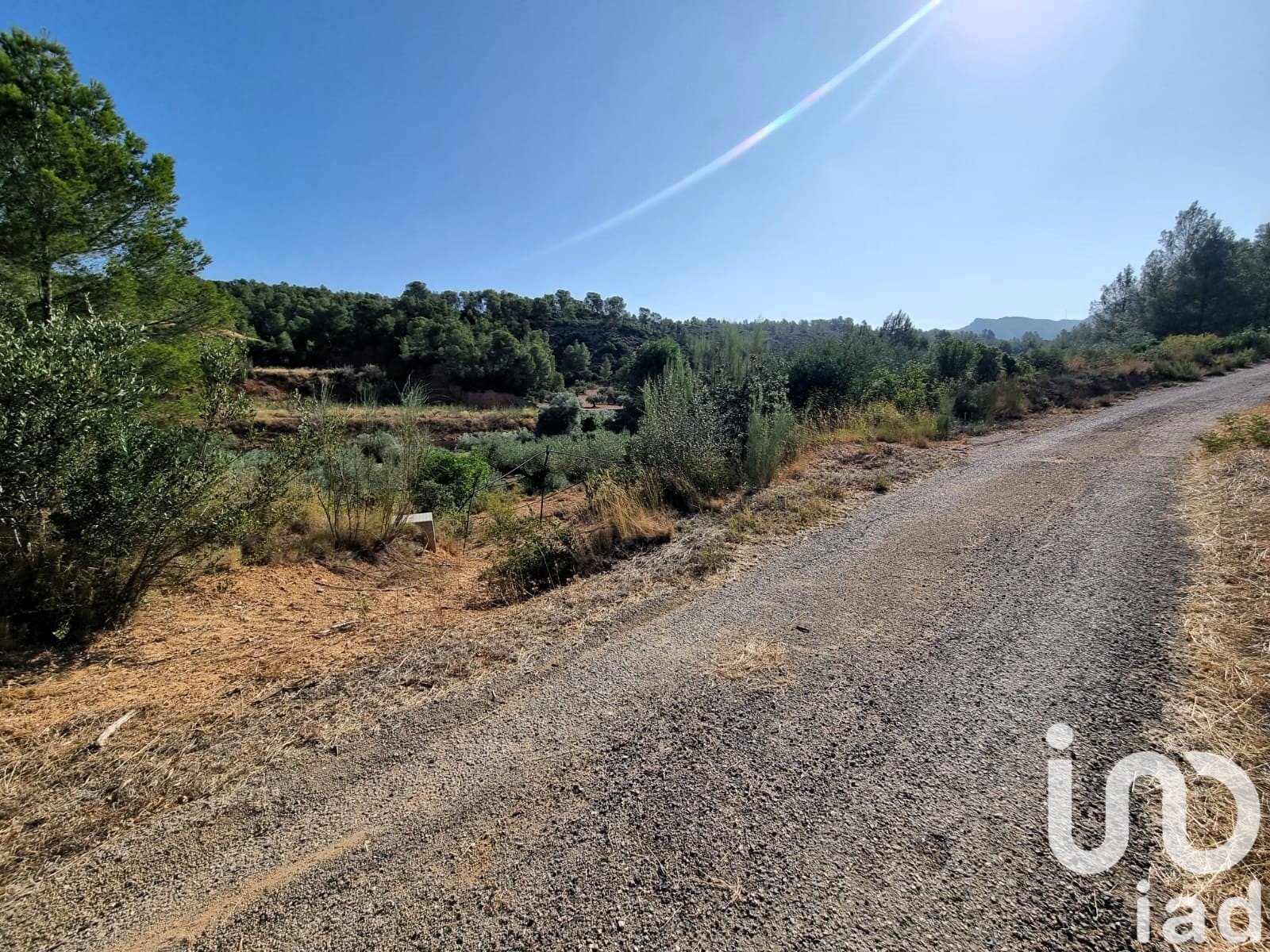Land plot in Tivissa, Tarragona, Spain 6327 sq.m. No. 185767