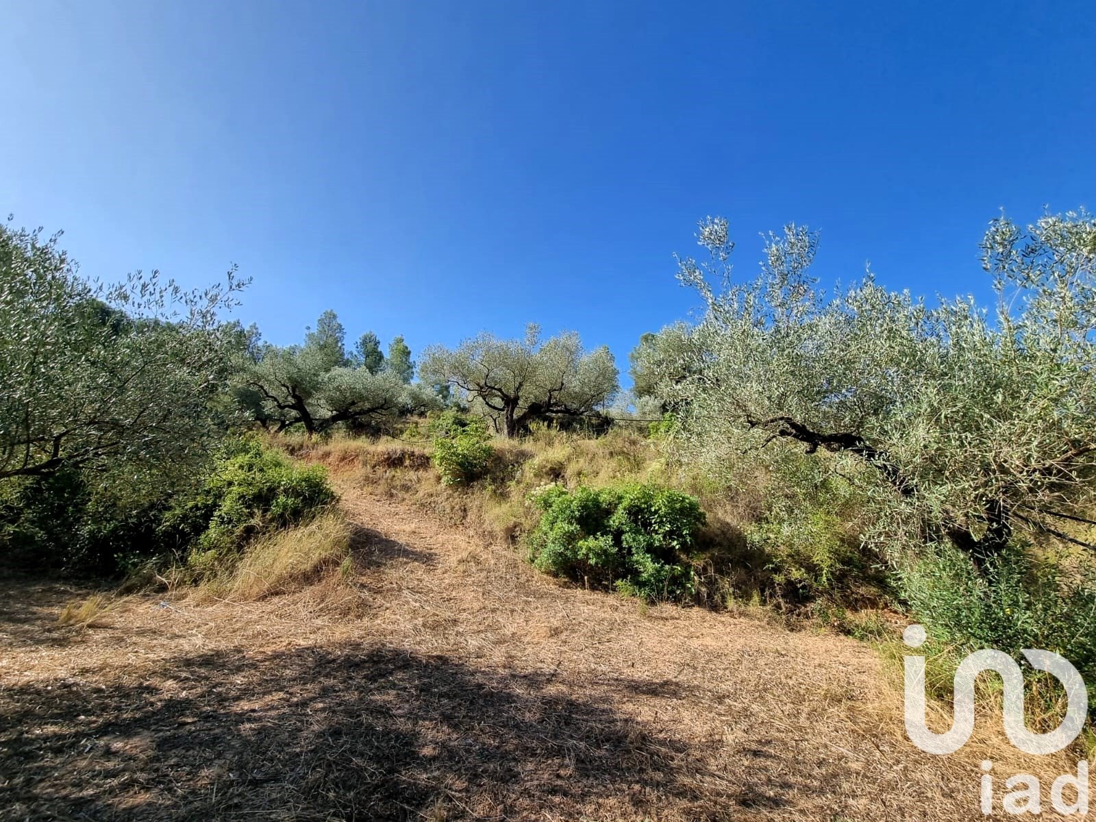 Land plot in Tivissa, Tarragona, Spain 6327 sq.m. No. 185767