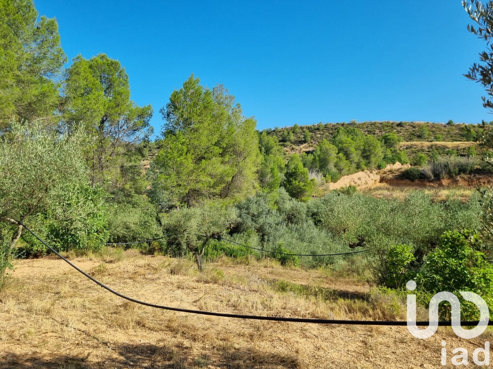 Land plot in Tivissa, Tarragona, Spain 6327 sq.m. No. 185767