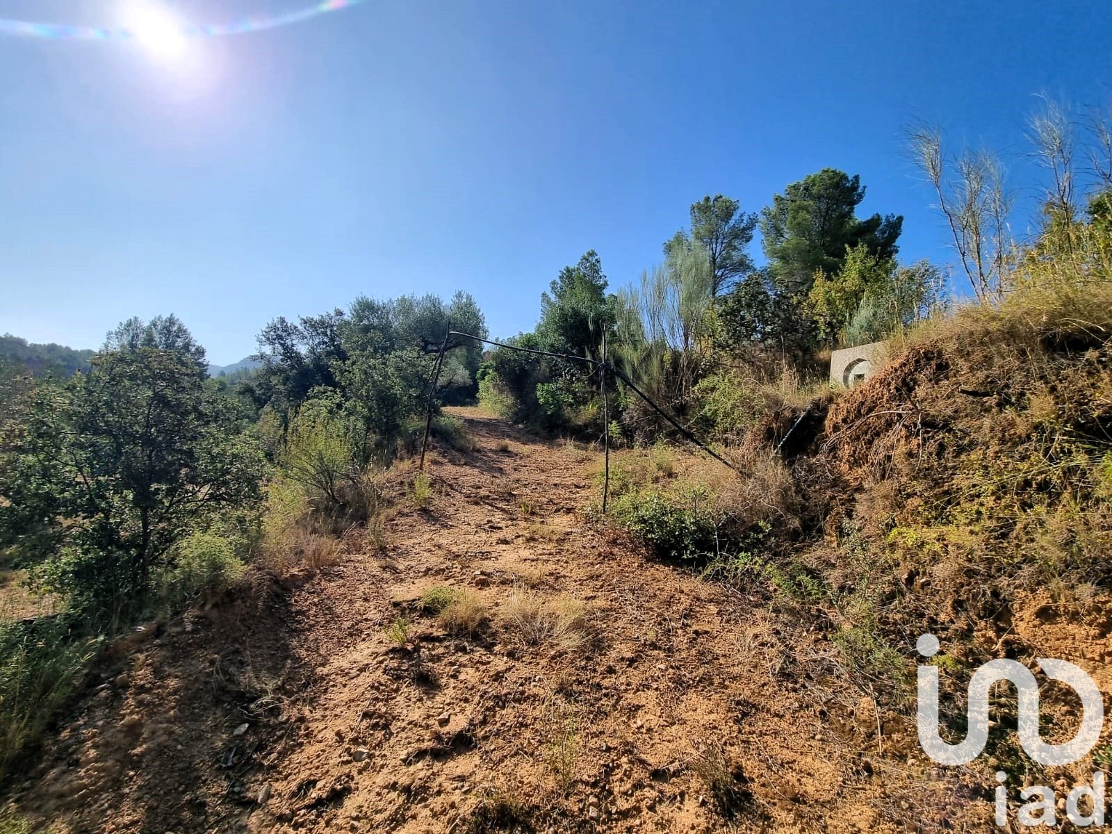 Land plot in Tivissa, Tarragona, Spain 6327 sq.m. No. 185767