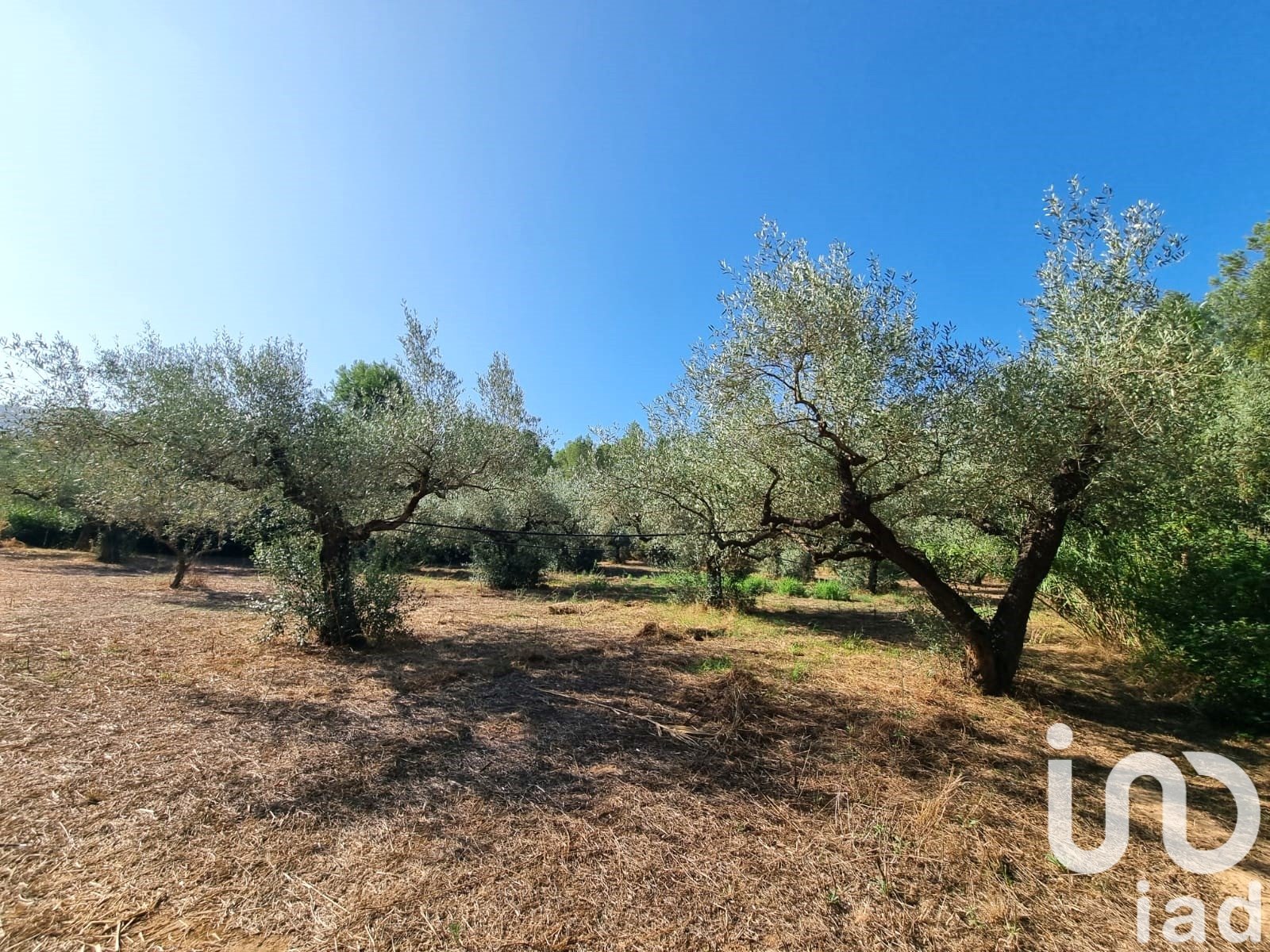 Land plot in Tivissa, Tarragona, Spain 6327 sq.m. No. 185767