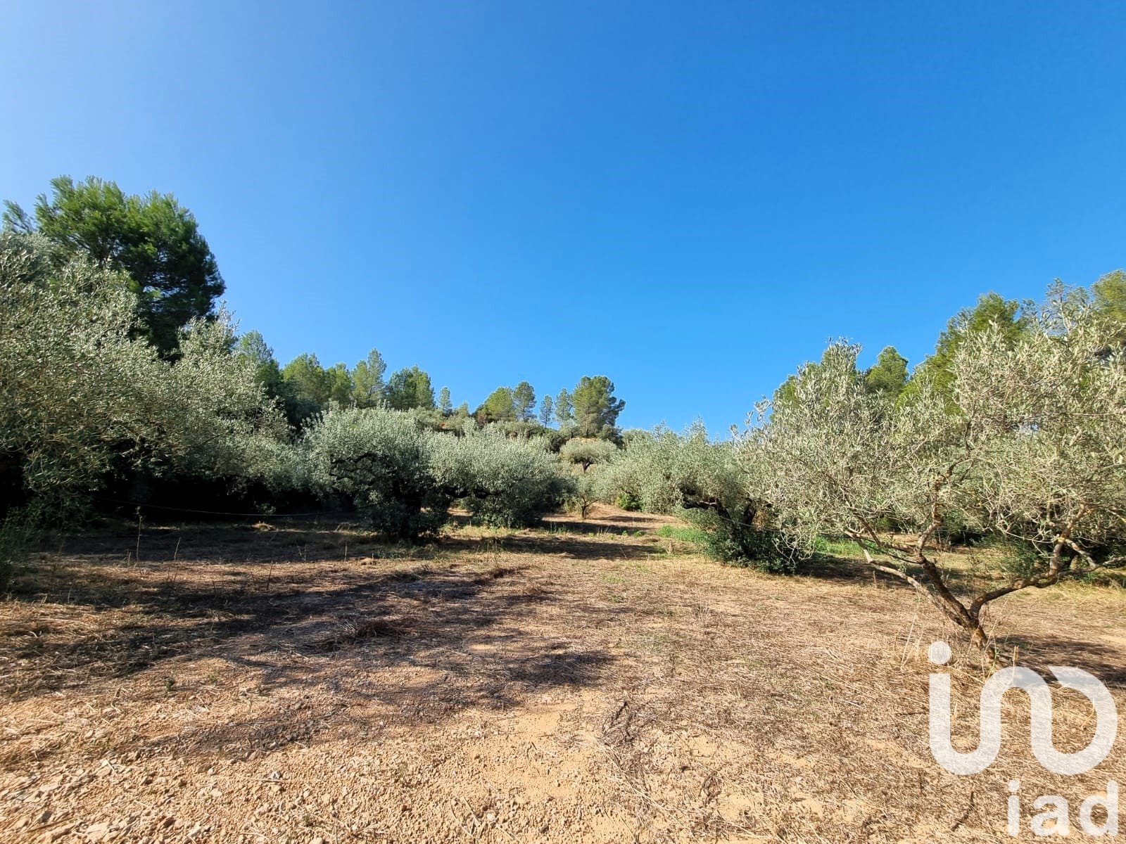Land plot in Tivissa, Tarragona, Spain 6327 sq.m. No. 185767