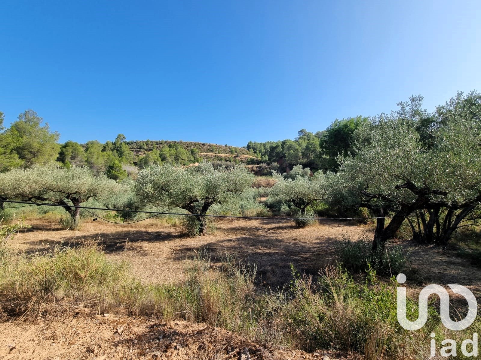 Land plot in Tivissa, Tarragona, Spain 6327 sq.m. No. 185767
