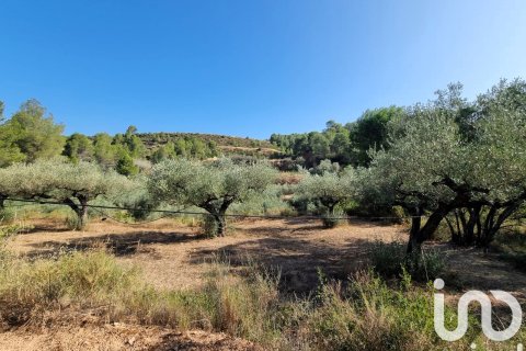 Zemes gabals Tivissa, Tarragona, Spānijā 6327 m2 Nr. 185767