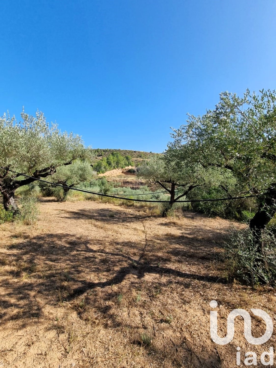 Land plot in Tivissa, Tarragona, Spain 6327 sq.m. No. 185767