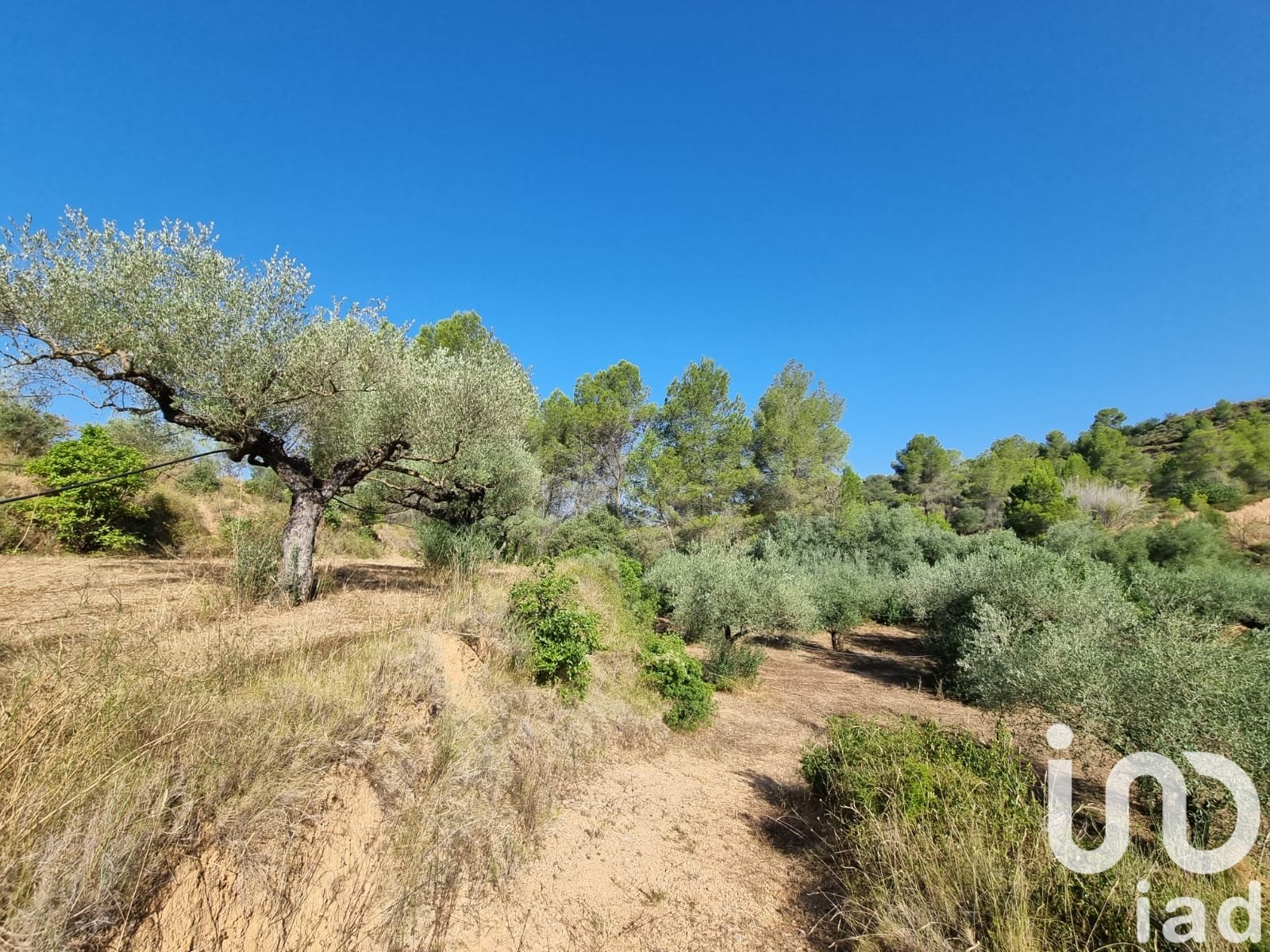 Land plot in Tivissa, Tarragona, Spain 6327 sq.m. No. 185767