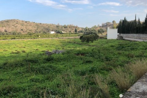 Zemes gabals Oliva, Valencia, Spānijā 10702 m2 Nr. 186049