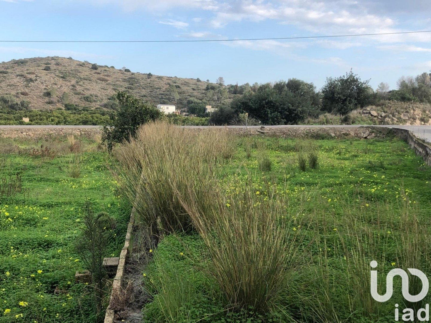 Zemes gabals Oliva, Valencia, Spānijā 10702 m2 Nr. 186049