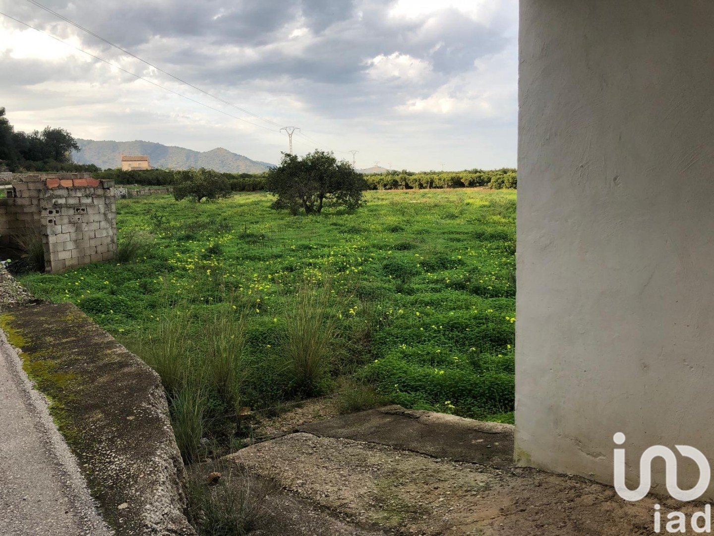 Zemes gabals Oliva, Valencia, Spānijā 10702 m2 Nr. 186049