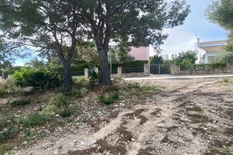 Zemes gabals L'Ametlla de Mar, Tarragona, Spānijā 800 m2 Nr. 185486
