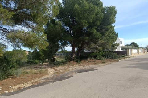 Zemes gabals L'Ametlla de Mar, Tarragona, Spānijā 800 m2 Nr. 185484