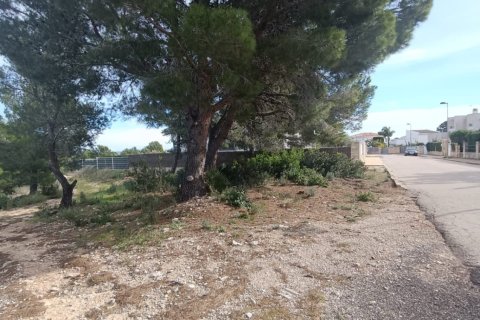 Zemes gabals L'Ametlla de Mar, Tarragona, Spānijā 800 m2 Nr. 185485