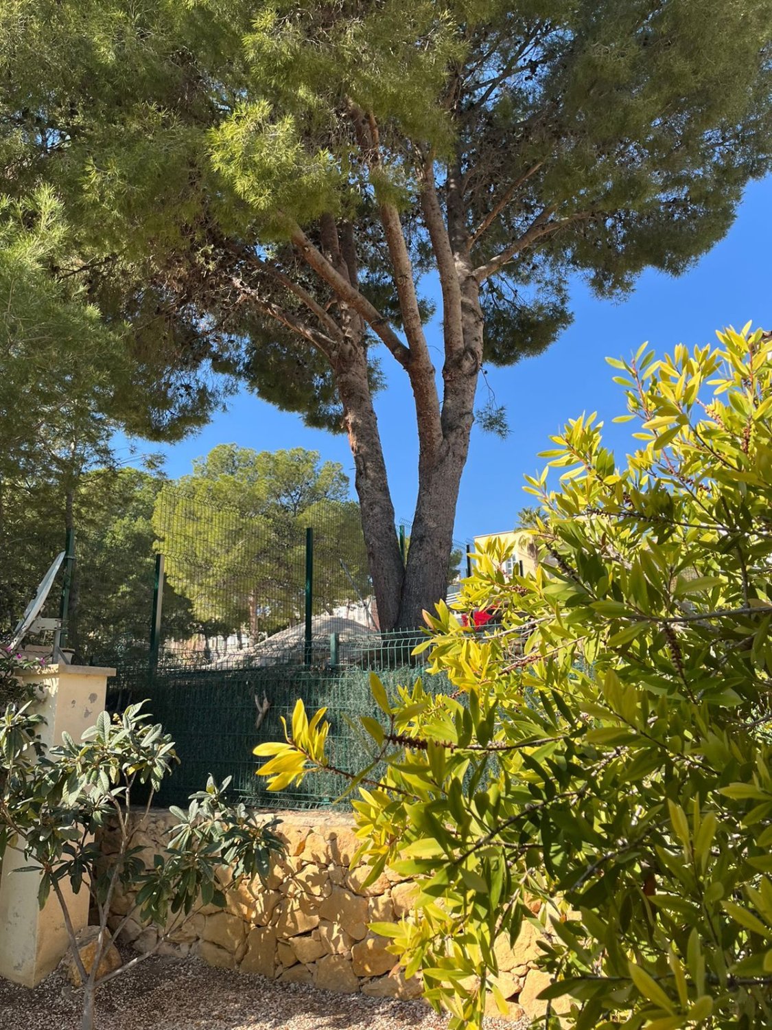 Villa à Benidorm, Alicante, Espagne 283 m2 No. 133887