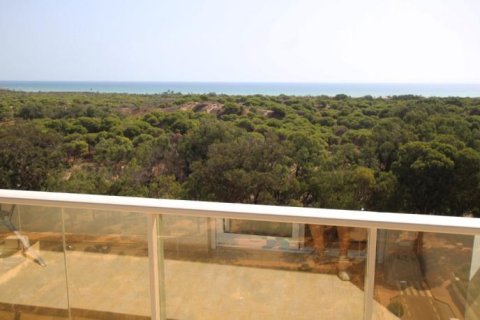 Huoneisto Guardamar del Segura, Alicante, Espanja 3 makuuhuonetta, 72 m2 No. 195569