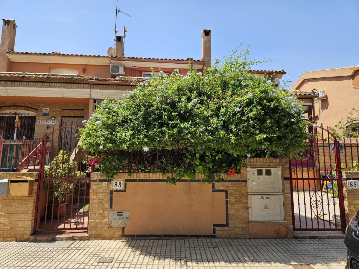 Kaupunkipientalo Torre de la Horadada, Alicante, Espanja 4 makuuhuonetta, 145 m2 No. 148916