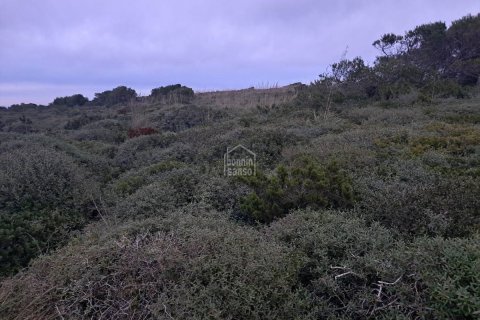 Land plot in Ciutadella De Menorca, Menorca, Spain No. 183193