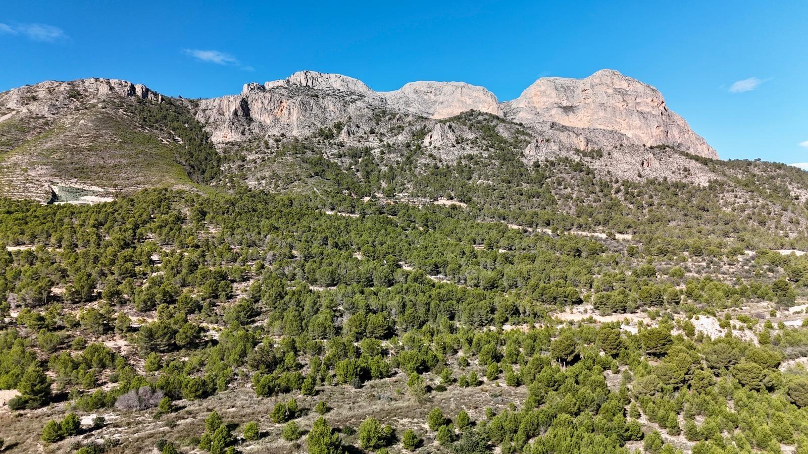 Apartament w La Alberca, Alicante, Hiszpania 3 sypialnie, 150 mkw. nr 165749