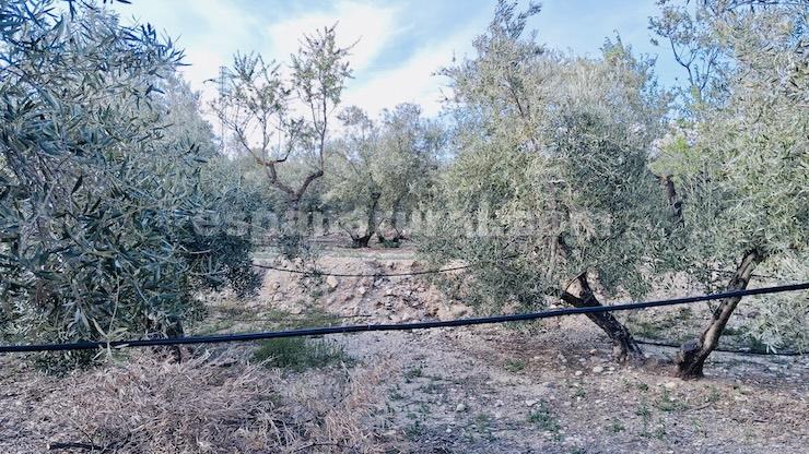 Hus i Armuna De Almanzora, Almeria, Spanien 2 sovrum, 110 kvm. Nr. 161669